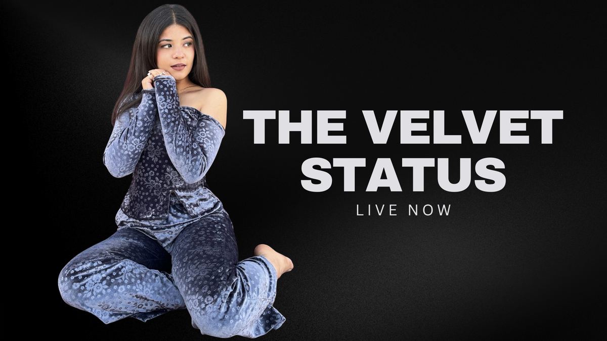 THE VELVET STATUS